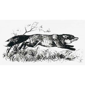 Scheibe Fuchs rechts