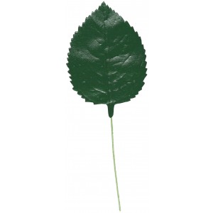 Apfellaub blattgrün, 7 cm