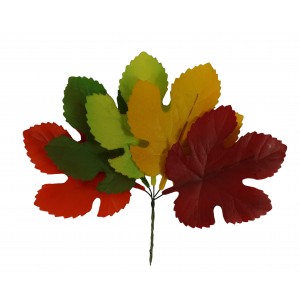 Weinlaub herbstlich bunt, gross