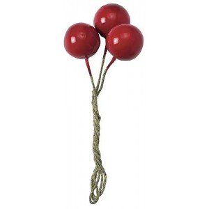 Beeren rot